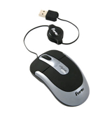 �������� ���� ����